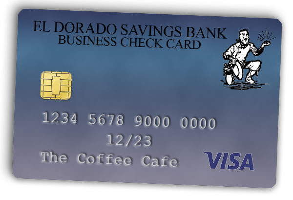 Visa Debit Card