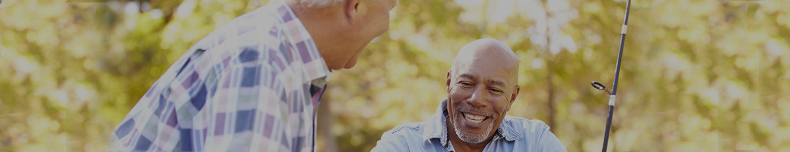 Personal IRAs Banner