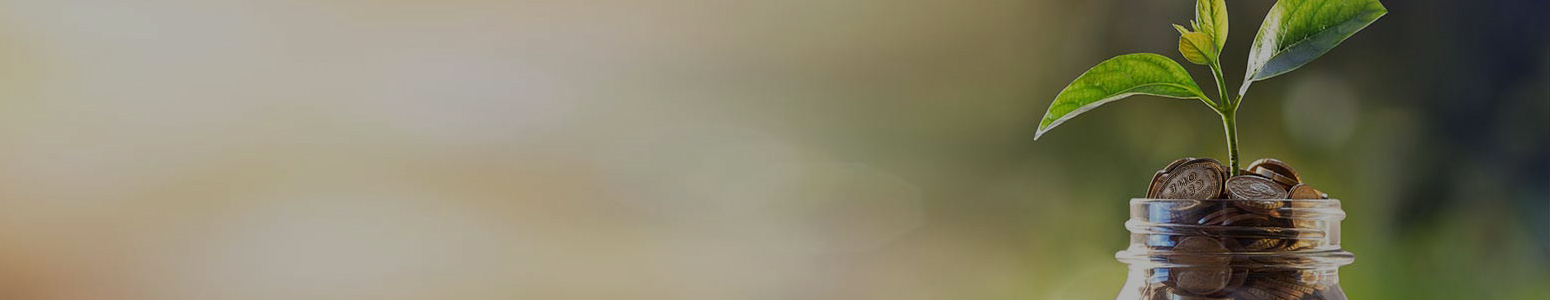 Personal Savings Banner